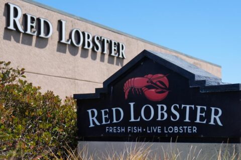 national seafood chain red lobster bankruptcy