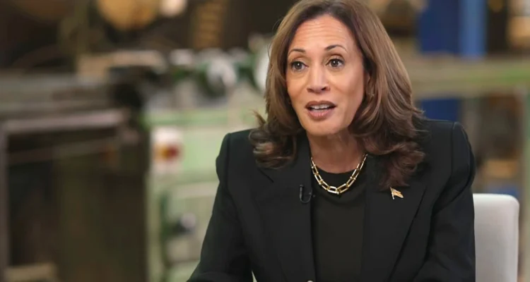 kamala harris msnbc