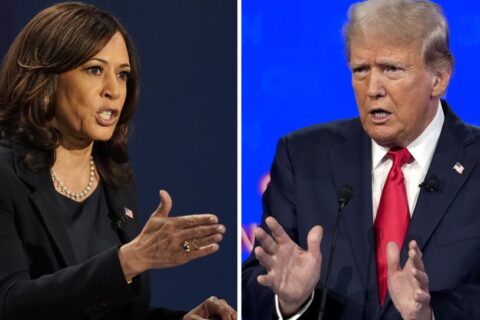 trump harris senate race