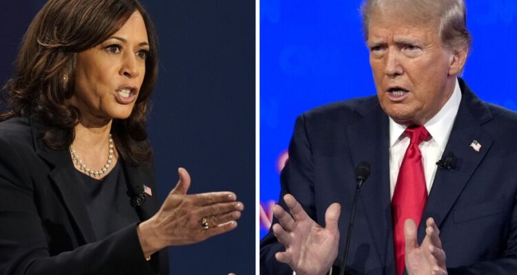 trump harris senate race