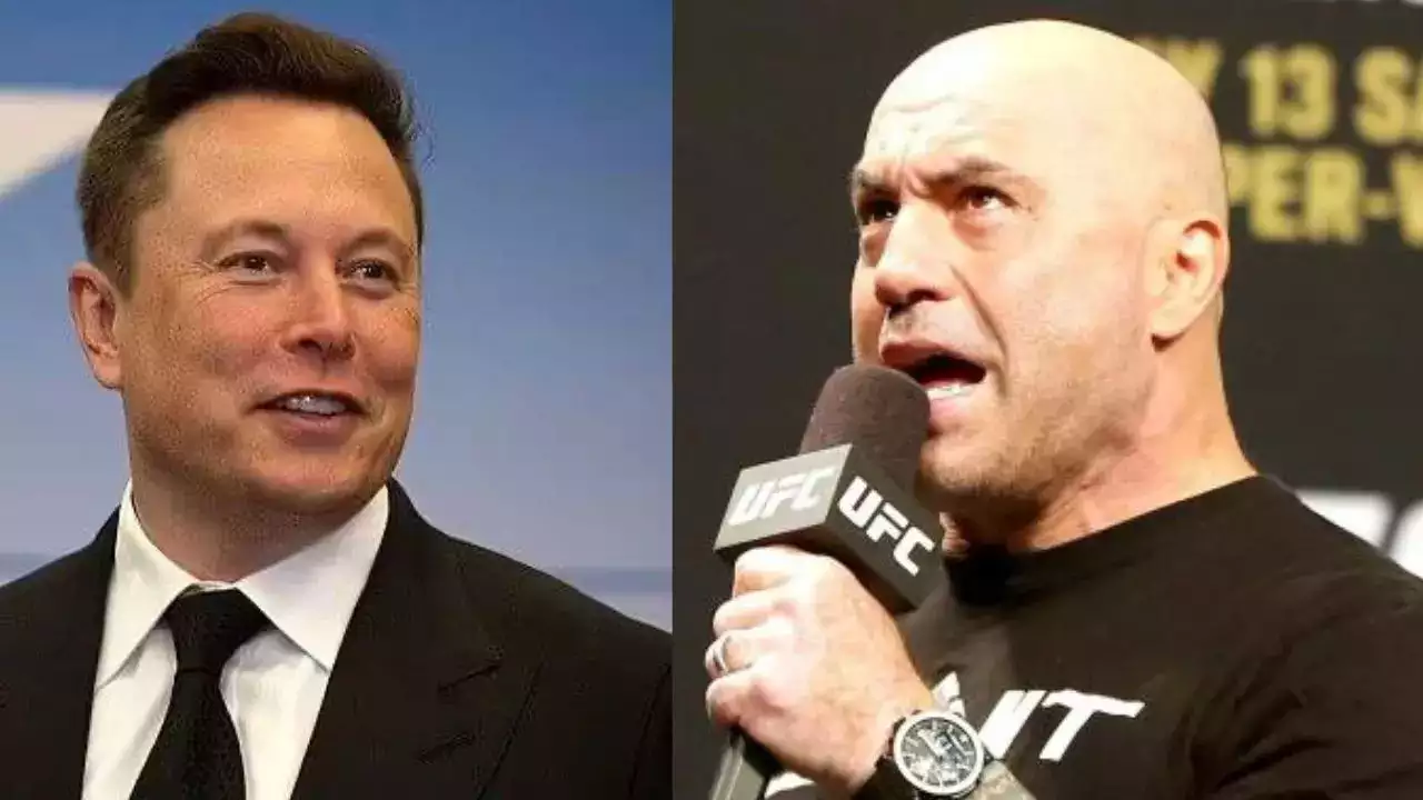 Elon Musk Jokes About Buying MSNBC, Joe Rogan Responds With Hilarious ...