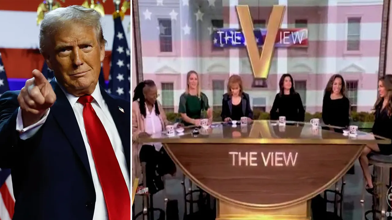 'The View' Cast Erupts Into Battle Over Why Americans Voted for Trump