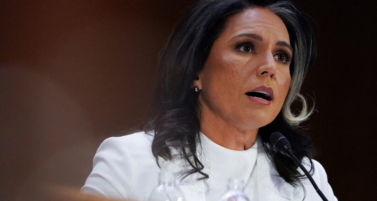 Tulsi gabbard gets stunning endorsement increasing chance of