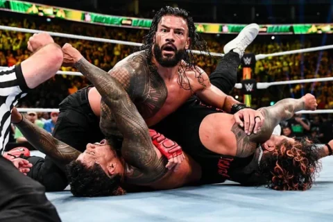 wwe star roman reigns