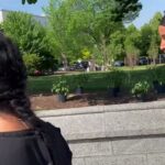 ilhan omar