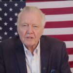 maga actor jon voight