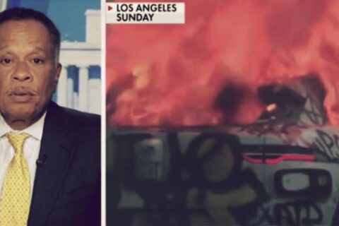 fox news juan williams