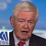 newt gingrich