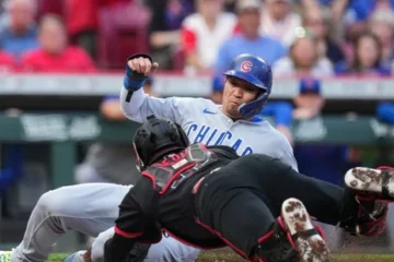 cubs rookie matt shaw