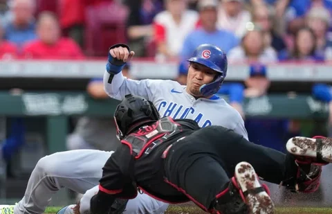 cubs rookie matt shaw