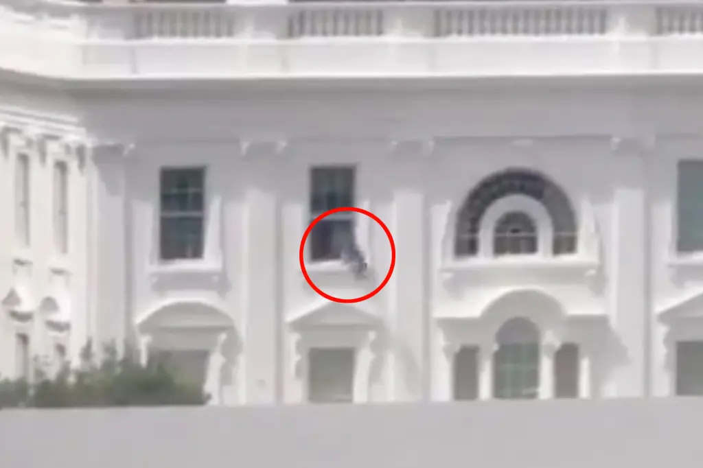 Bizarre Video Surfaces Showing Things Thrown Out of White House Window ...