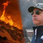 gavin newsom palisades rebuilt