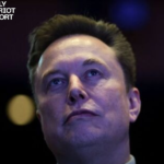 elon musk anti-white