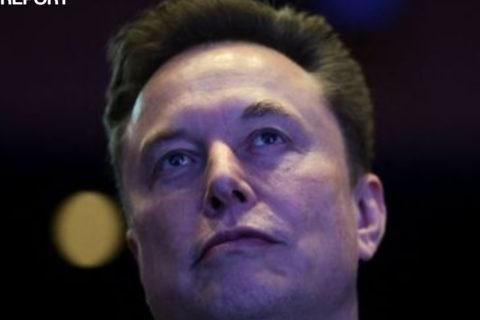 elon musk anti-white