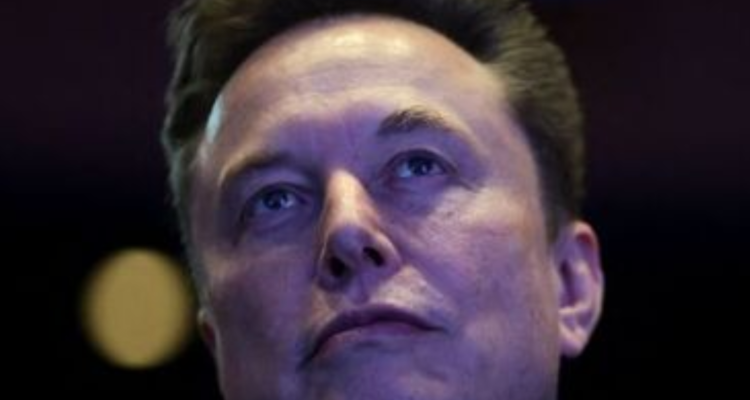 elon musk anti-white