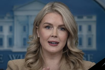 karoline leavitt trump somali fraud