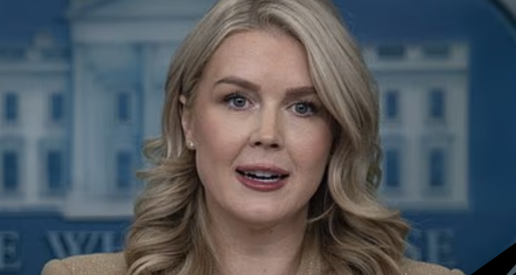 karoline leavitt trump somali fraud