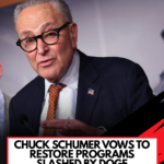 chuck schumer restoring programs cut by doge