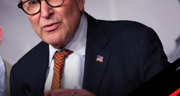 chuck schumer restoring programs cut by doge