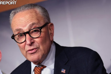 chuck schumer restoring programs cut by doge