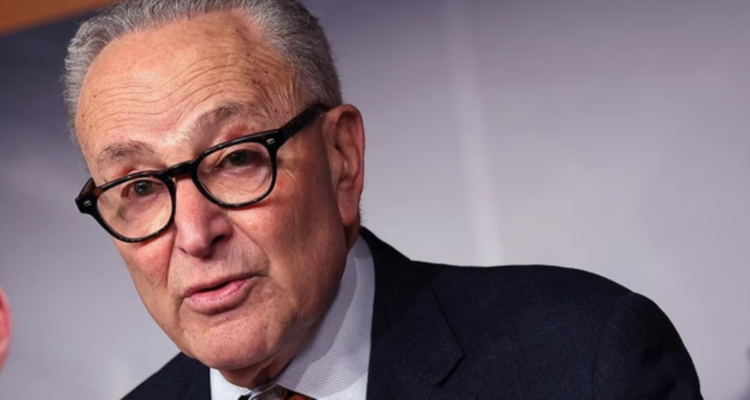 chuck schumer restoring programs cut by doge