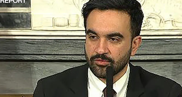 mamdani illegal immigrants taxpayer funded benefits