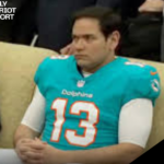 marco rubio dolphins