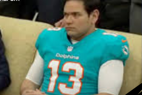 marco rubio dolphins