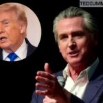 donald trump gavin newsom sundowning