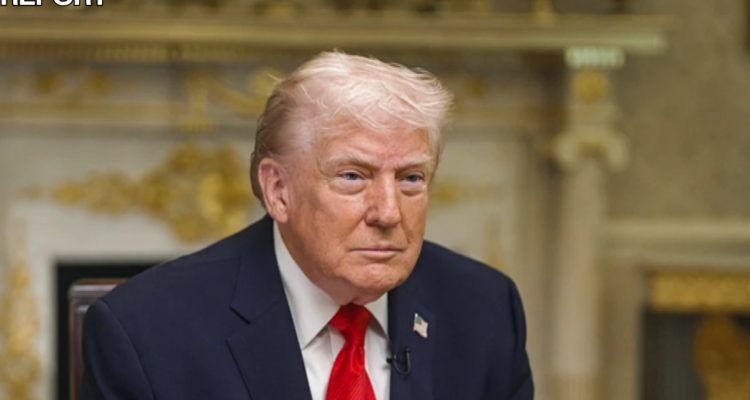 trump minneapolis immigration strategy