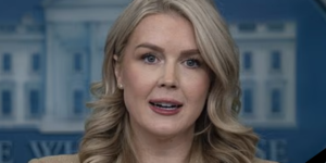 karoline leavitt trump somali fraud